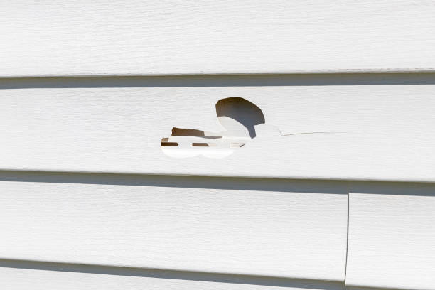 Best Wood Siding Installation  in Merchantville, NJ